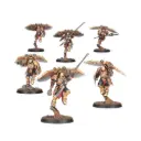 LEGIO CUSTODES VENATARI SODALITY